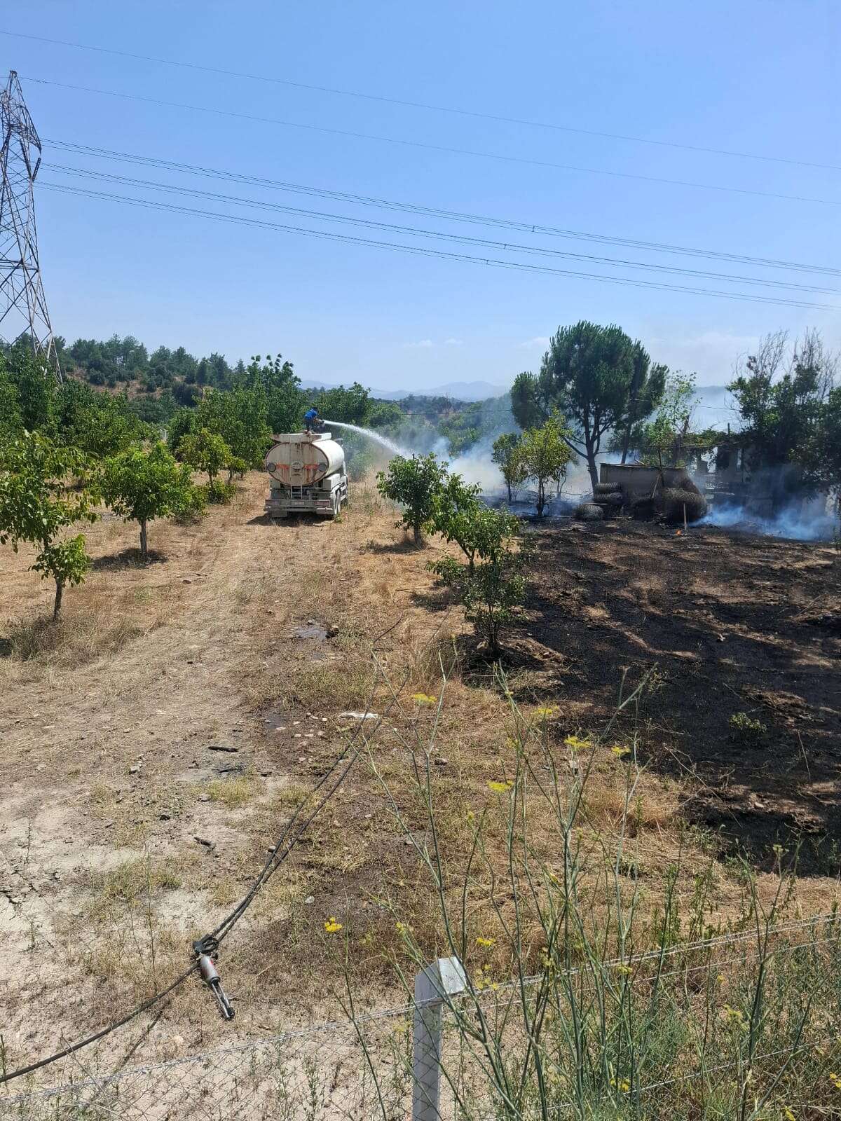 Yatağan'da Yangın: Elektrik Direğinden Çıkan Alevler Bahçelere Sıçradı 4